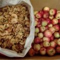 Kuinka oikein kuivata omenat kotona uunissa leivinpeltillä, sähkökuivaimella ja kuinka varastoida