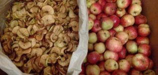 Hoe appels thuis goed te drogen in de oven op een bakplaat, elektrische droger en hoe ze te bewaren