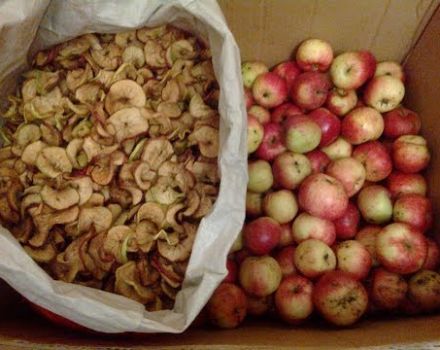 How to properly dry apples at home in the oven on a baking sheet, electric dryer and how to store