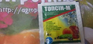 Instructies voor het gebruik van het fungicide Topsin M en het werkingsmechanisme