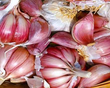 Description of the Petrovsky garlic variety, its characteristics and yield