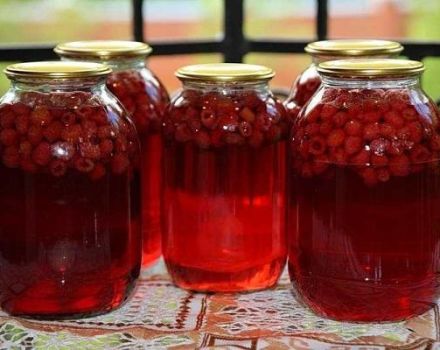 17 simple recipes for making raspberry compote for the winter