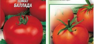 Ballada domates çeşidinin tanımı ve özellikleri