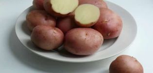 Beskrivelse af Romano-kartoffelsorten, funktioner i dyrkning og pleje