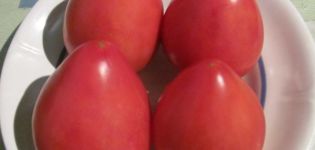 Caractéristiques et description de la variété de tomate Fatima