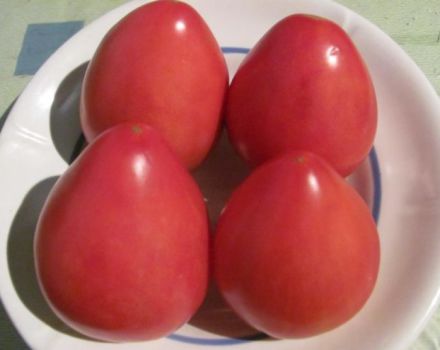 Kenmerken en beschrijving van het tomatenras Fatima