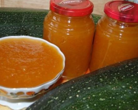 A step-by-step recipe for marrow and zucchini jam with apricots for the winter