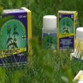 Mga tagubilin para sa paggamit ng herbicide Glyphos mula sa mga damo