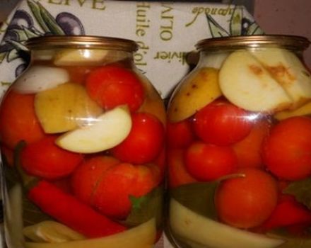 Opskrifter på konserves med tomater med æbler til vinteren slikker du fingrene