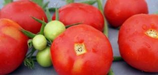 Descrizione della varietà di pomodoro Otradny e delle sue caratteristiche