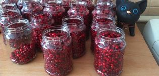 Recipes for making soaked lingonberries for the winter at home