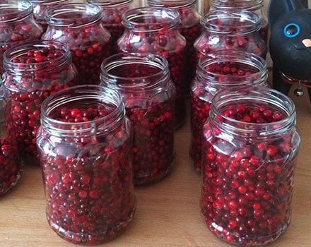 สูตรสำหรับทำ lingonberries แช่สำหรับฤดูหนาวที่บ้าน