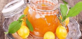 8 receptes pas a pas de melmelada de pruna blanca per a l’hivern