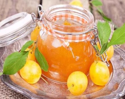 8 step-by-step recipes for pitted white plum jam for the winter