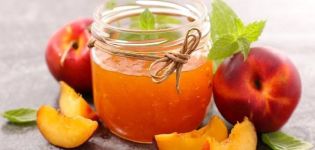 Nangungunang 9 mga recipe para sa pagluluto ng peach puree para sa taglamig sa bahay