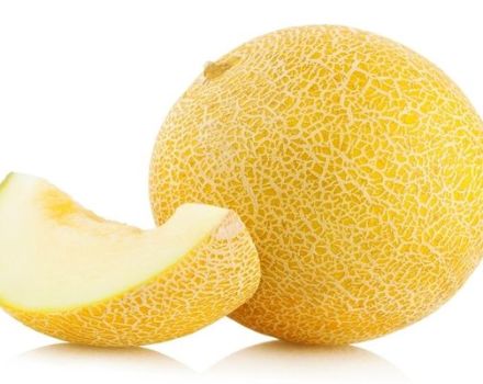 Paglalarawan ng iba't ibang melon ng honey, mga rekomendasyon para sa paglilinang at pangangalaga