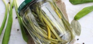 9 ricette passo passo per preparare l'aglio selvatico in salamoia per l'inverno a casa