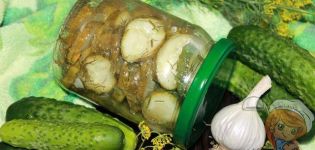Les millors receptes de cogombres adobades amb all per a l’hivern i el seu emmagatzematge