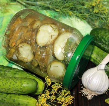 De beste recepten voor ingelegde komkommers met knoflook voor de winter en hun opslag