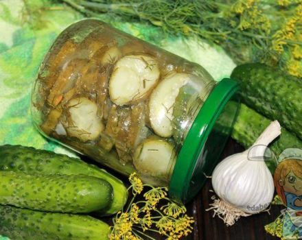 De beste recepten voor ingelegde komkommers met knoflook voor de winter en hun opslag