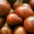 Characteristics and description of the variety of tomato Black pear