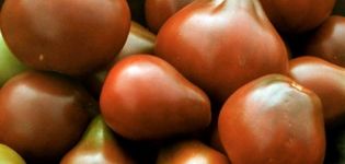 Caratteristiche e descrizione della varietà di pomodoro Pera nera
