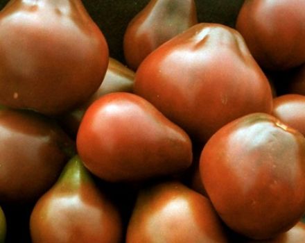 Charakterystyka i opis odmiany pomidora Czarna gruszka