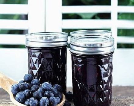 Ang isang simpleng recipe para sa paggawa ng blueberry compote para sa taglamig