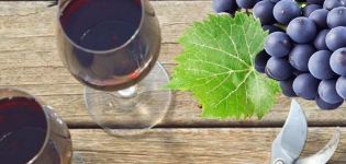 6 وصفات خطوة بخطوة حول كيفية صنع النبيذ من عنب إيزابيلا في المنزل