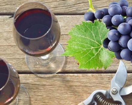 6 stapsgewijze recepten om thuis wijn te maken van Isabella-druiven