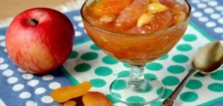 TOP 5 Rezepte für die Herstellung von Apfelmarmelade mit getrockneten Aprikosen für den Winter
