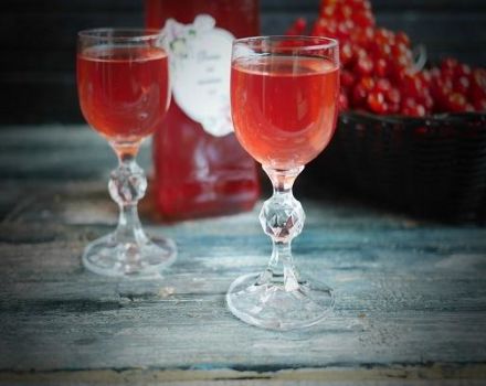9 rețete simple pentru a face vin din viburnum acasă