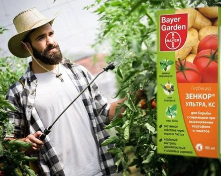 Pokyny pre herbicíd Zenkor a pravidlá používania produktu