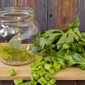 TOP 10 chutných receptů pro přípravu celeru na zimu doma