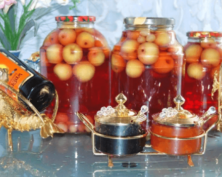 TOP 25 step-by-step recipes for making apple compote for the winter