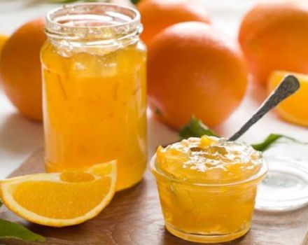 Recipe for making apricot jam with oranges for the winter