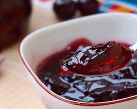 Simple recipes for making cherry jam for the winter