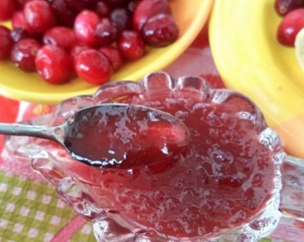 TOP 7 recipes for making lingonberry jam for the winter