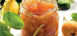 Jednostavan recept za džem od kruške i naranče za zimu