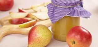 Tuktok 2 masarap na mga recipe para sa paggawa ng apple at pear jam para sa taglamig