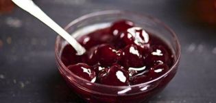 Recipes for making thick cherry jam with a bone five-minute