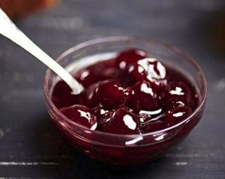 Mga recipe para sa paggawa ng makapal na cherry jam na may isang buto limang minuto