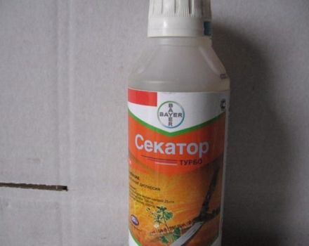 Mga tagubilin para sa paggamit ng herbicide Secator Turbo, paglalarawan ng gamot at dosis