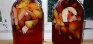 A simple recipe for apple compote and plums for the winter