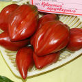Sorter, karakteristika og beskrivelser af peberformede tomatsorter, deres udbytte og dyrkning