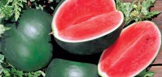 Description of the watermelon variety Ogonyok, its cultivation in open ground and in a greenhouse, ripening terms