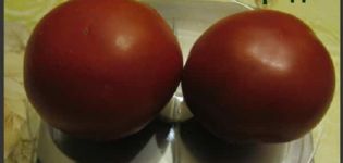 Characteristics and description of the tomato variety Spiridon