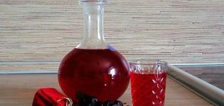 Evde kırmızı ve siyah frenk üzümü şarabı yapmak için basit bir tarif