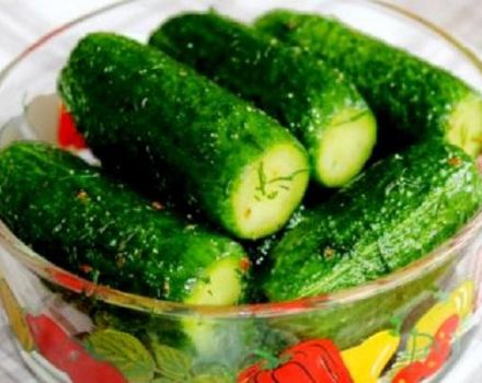 Eenvoudige stapsgewijze recepten voor gezouten komkommers en tomaten voor de winter