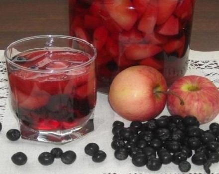 أفضل 9 وصفات لصنع العصير من رانيتكي لفصل الشتاء